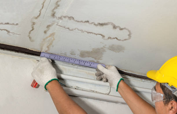 Reliable Mold Remediation contractor in Goodland, KS by Water Damage Irwin